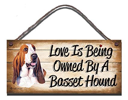 Best Gifts For Basset Hound Owners