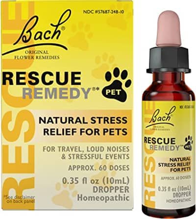 calming treats for dogs