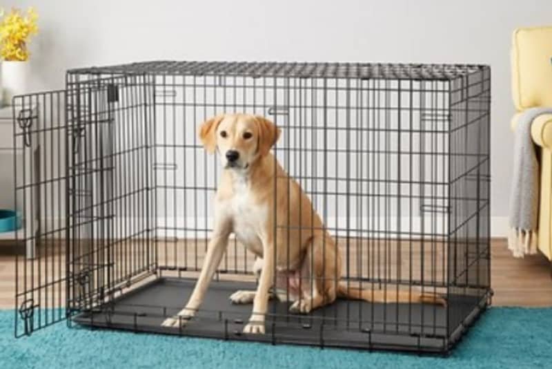 Containment Products For A Pet