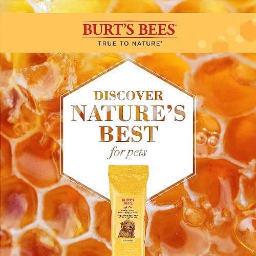 Burt's Bees Multipurpose Hypoallergenic Wipes