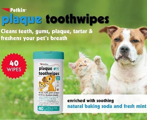 Petkin Cat and Dog Dental Wipes