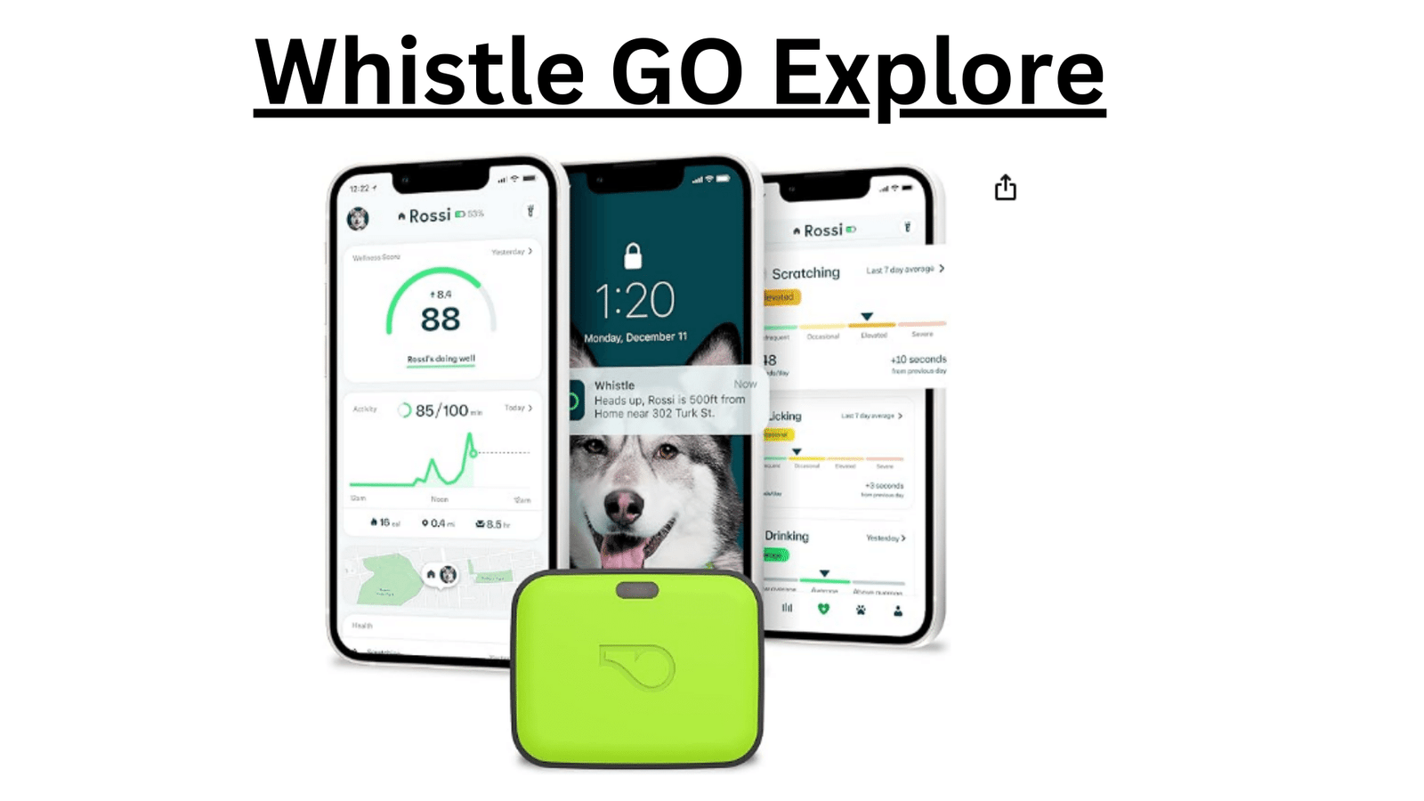 Whistle GO Explore